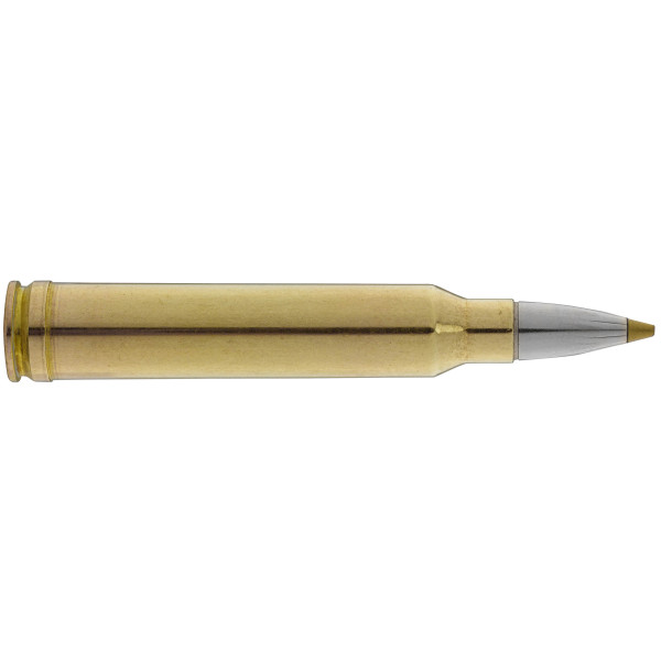 Cartouche Norma .300 Win Mag EVOSTRIKE : Puissance et Écologie