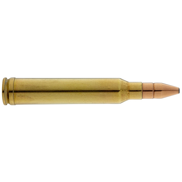 Munitions RWS .300 Win Mag DK : Précision et Puissance Inégalées