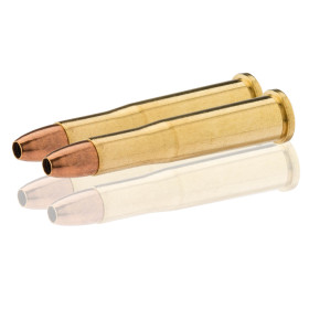 Winchester .22 Hornet 46 gr : Précision et Expansion Optimale