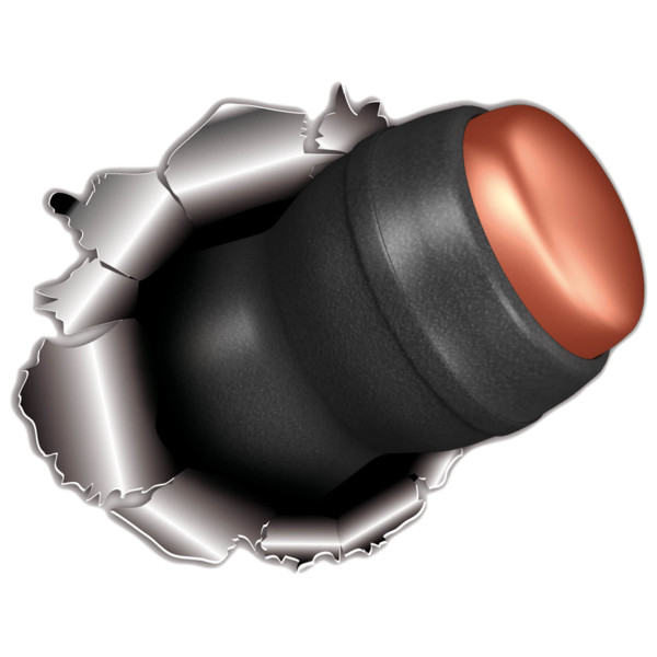 Plombs Lethal 4,5 mm : Précision Supérieure pour Tir de Loisirs
