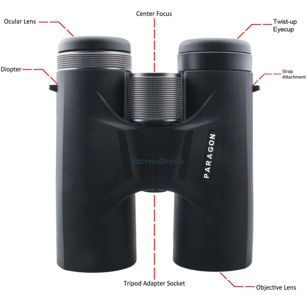 Jumelles Vector Optics Paragon 10x42 | Observation