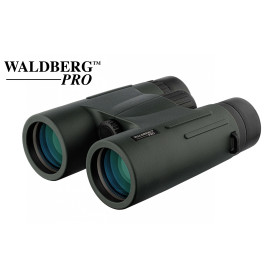 Jumelles Waldberg Pro 8x42 ED : Verres ED, Antichoc, Idéales Nature