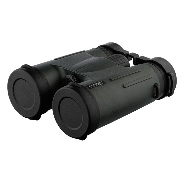 Jumelles Waldberg Pro 8x42 ED : Verres ED, Antichoc, Idéales Nature