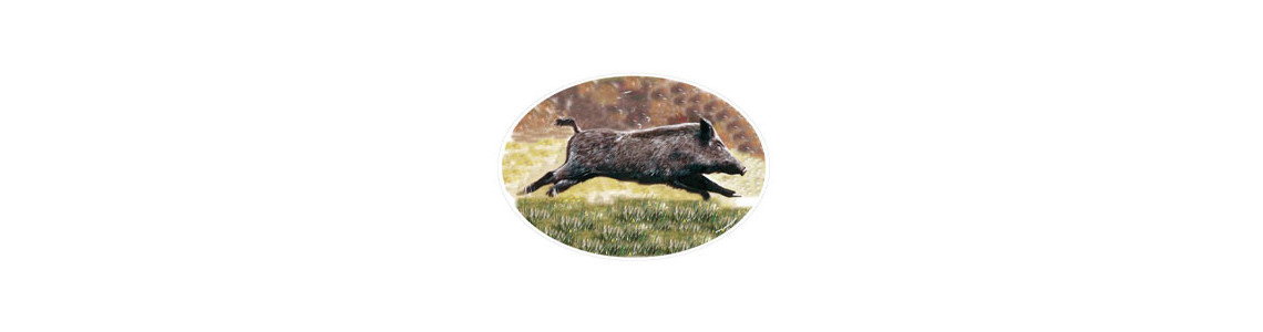 Stickers & décorations