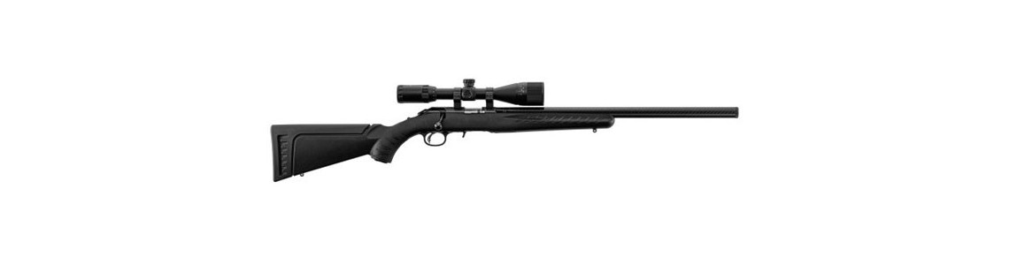 Armes 22 LR, 17 HMR et 222