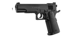 Pistolets à plombs