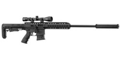 Carabines 22 LR & .17 HMR