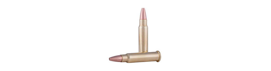 Munitions 17 HMR