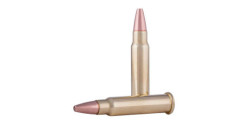 Munitions 17 HMR