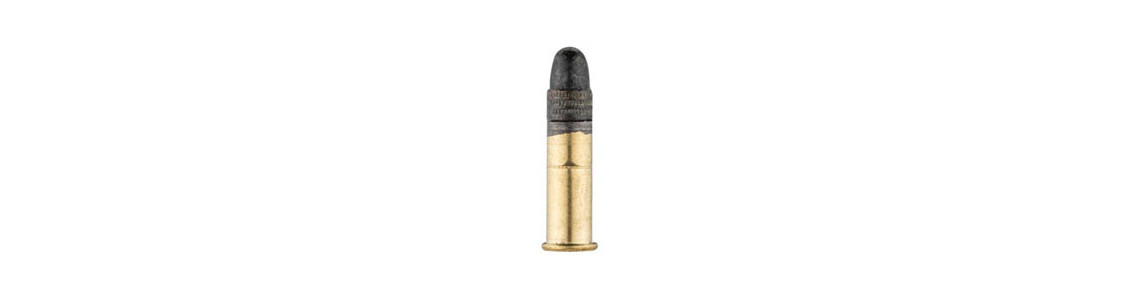 Munitions 22 long rifle