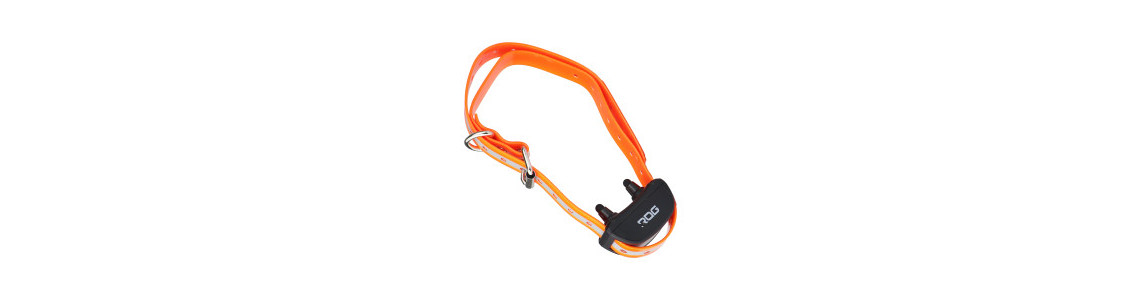 Colliers GPS pour chiens