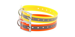 Colliers pour chiens