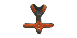 Harnais pour chiens
