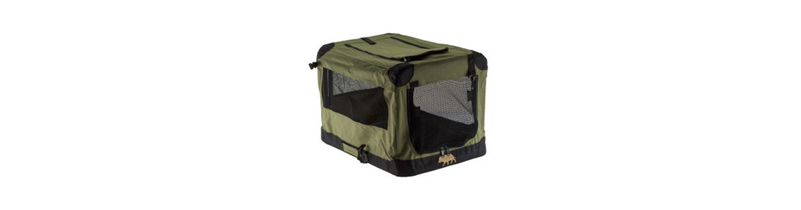 Soins & transport des chiens