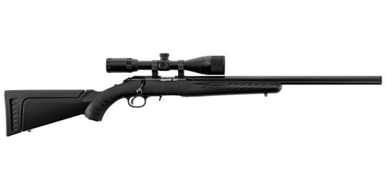 Armes 22 LR, 17 HMR et 222