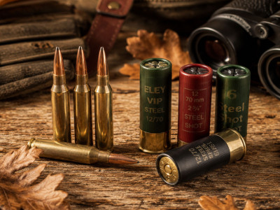 Munitions pour la chasse au sanglier